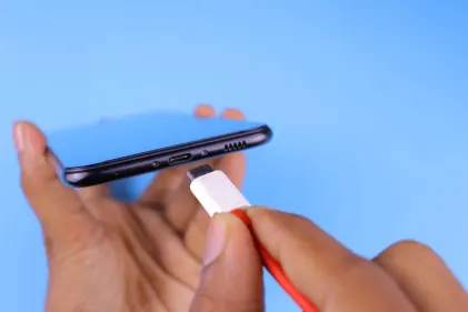 كازينو دوغز فورتشن تطبيق الهاتف المحمول